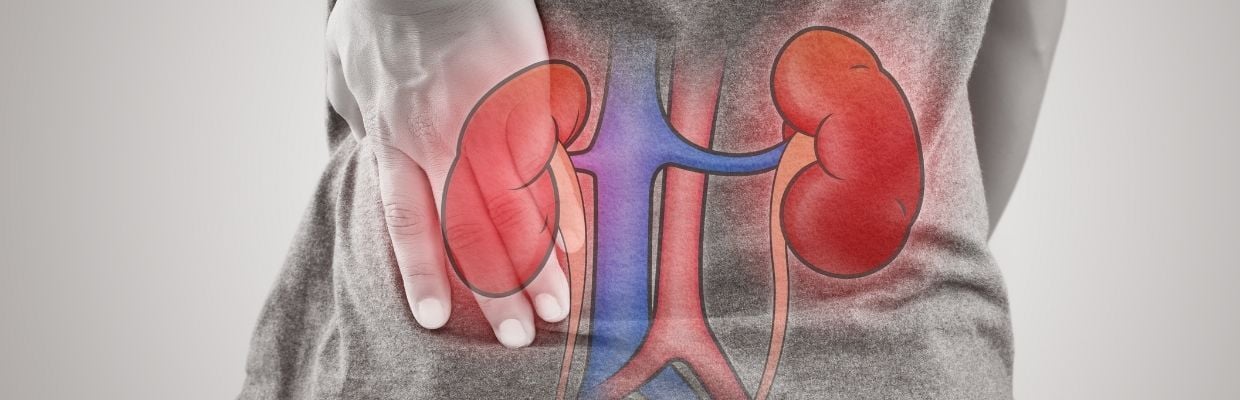 Durerea de rinichi: cauze, simptome si tratament