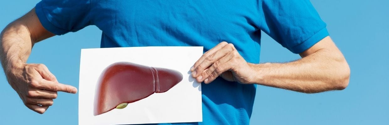 FICATUL - Inginerul alimentar al organismului uman