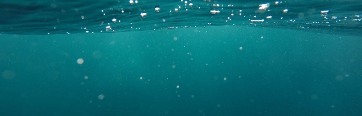 Secretele vindecatoare ale Oceanului Planetar