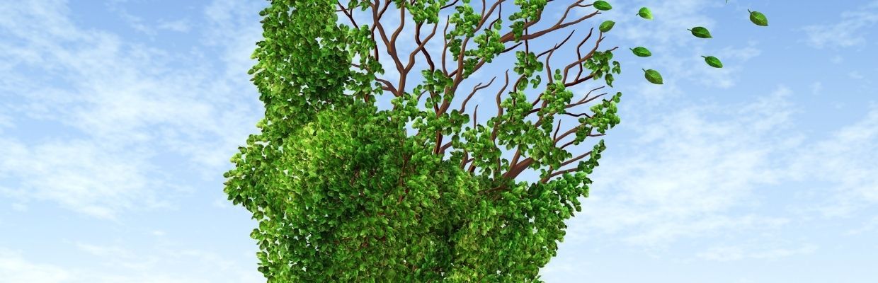 Memorare eficienta cu ajutorul suplimentelor pentru memorie