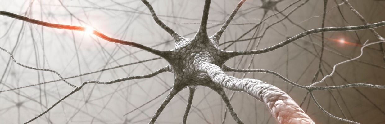 Sistemul nervos - mentinerea sanatatii optime