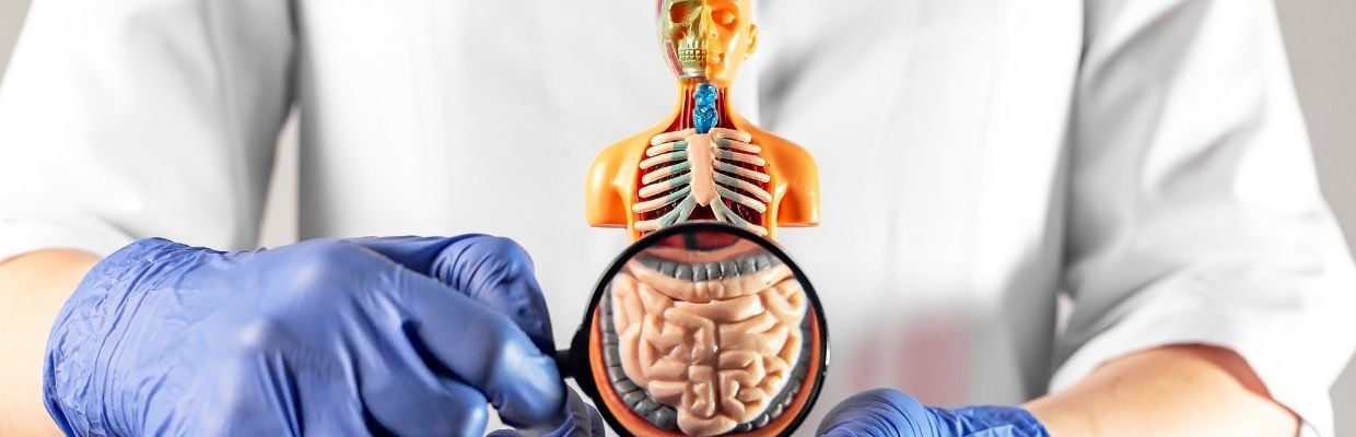 Tratament pentru refacerea florei intestinale