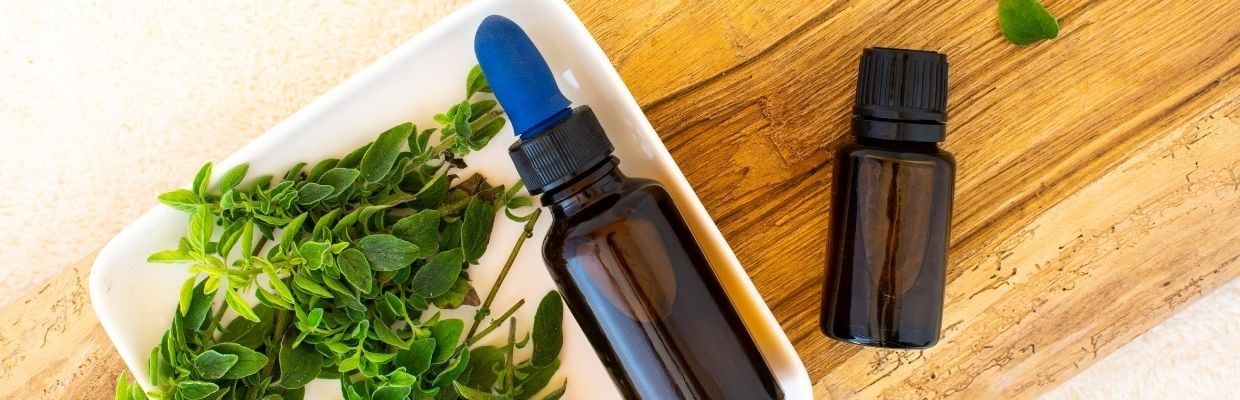 Uleiul de oregano salbatic, un antibiotic natural