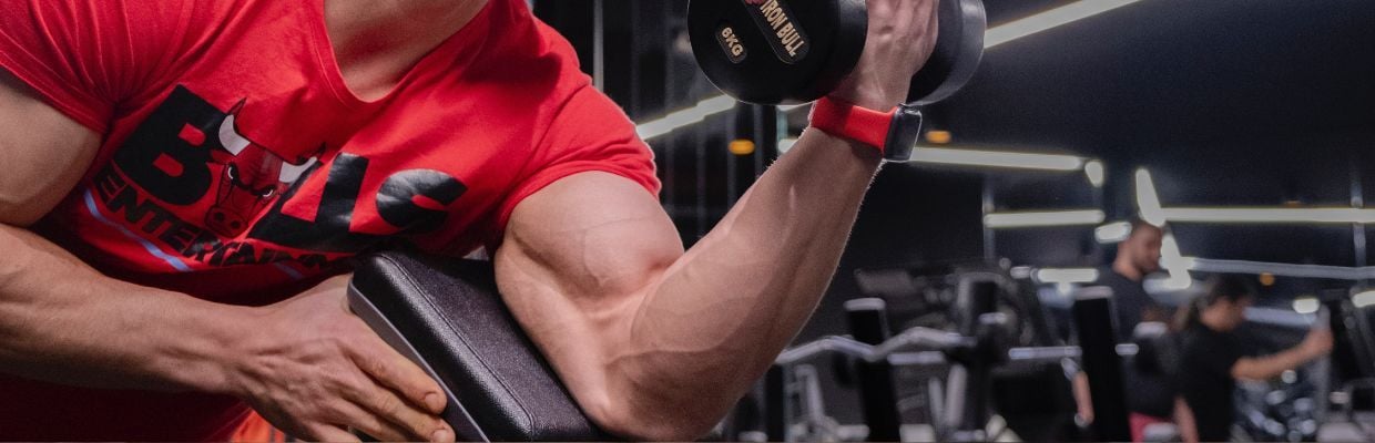 Anatomie: Totul despre muschiul biceps brahial
