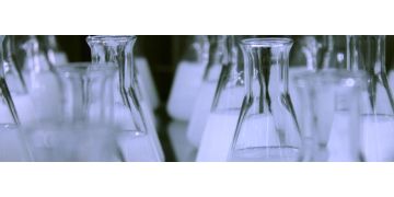 Albumina serica: un indicator important al functiei renale si hepatice