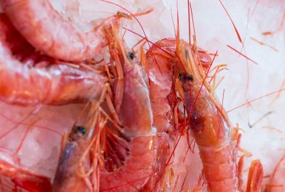 Uleiul de krill: Beneficii pentru organism datorita continutului de acizi grasi de tip Omega 3 si Omega 6