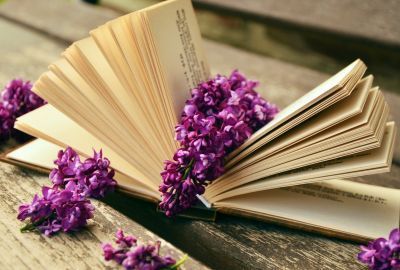 Florile de liliac: Cum te pot ajuta in tratarea diferitelor afectiuni, reguli de folosire