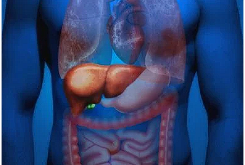 Terapia Blu Room: Cum poate ajuta la detoxifierea ficatului si la resetarea metabolismului