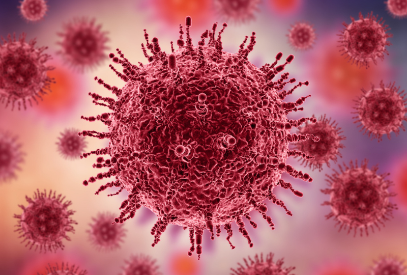 Virusul EBOLA: Tot ce trebuie să știi despre  această boală infecțioasă