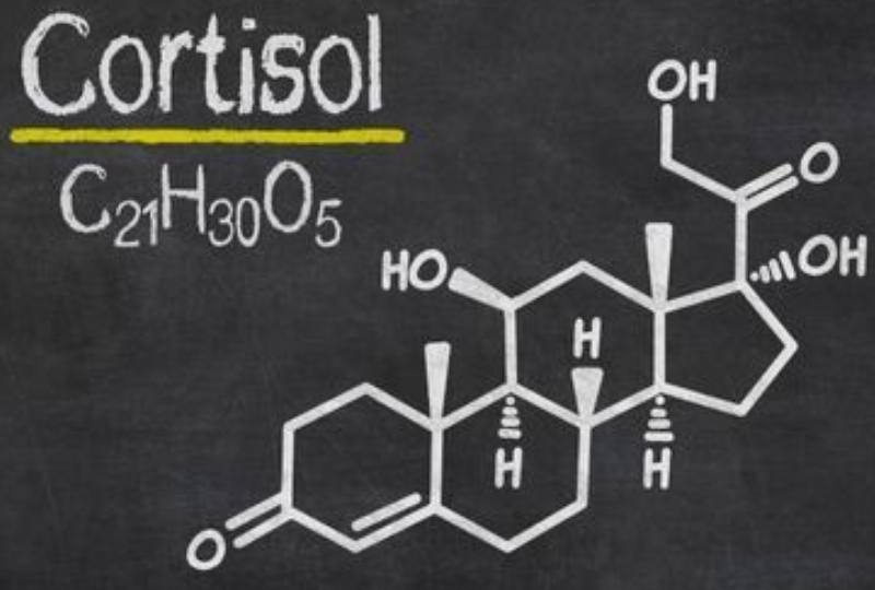 Cortizol: De ce avem nevoie de acest hormon, tratamente si contraindicatii