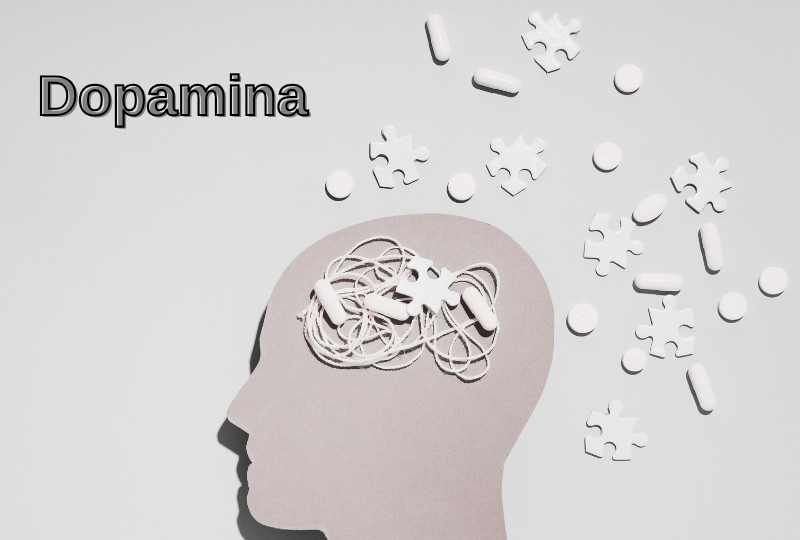 Dopamina: ce rol are, unde se produce si in ce alimente o gasim