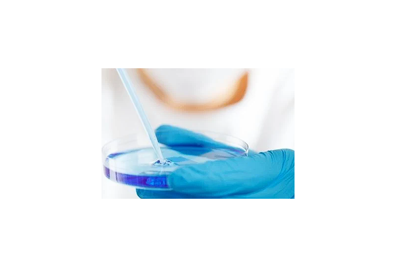 Helicobacter pylori: Cum sa depistezi si sa tratezi infectia bacteriana a stomacului