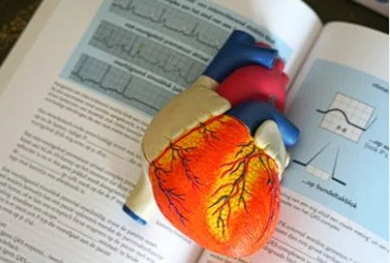 Atrezia de valva tricuspida: De ce apare boala, ce trebuie sa stiti despre simptome, preventie