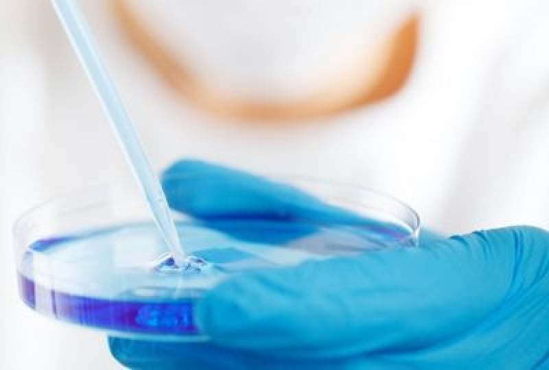 Lactoferina: proteina esentiala pentru sistemul imunitar si sanatatea organismului