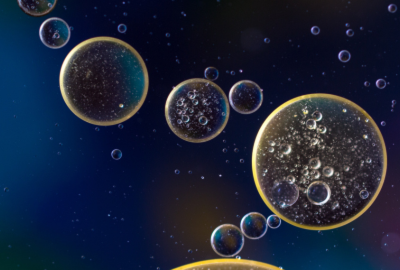 Leucocite: Valori normale, cauzele cresterii si semnificatia leucocitelor in urina