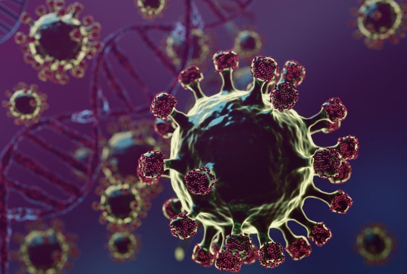 Virusul Nipah: Simptome, rata de mortalitate, preventie si tratament