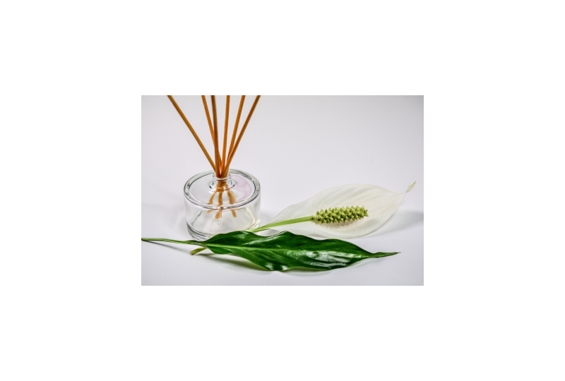 Util: Plante medicinale care sa te ajute sa scapi mai usor de anxietate