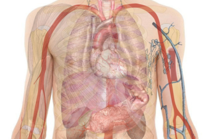 Obstructia intestinala: Cauze, simptome si tipuri de tratament