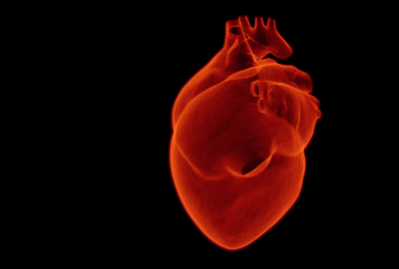 Hipertrofia ventriculara: Intelegerea problemei si prevenirea complicatiilor