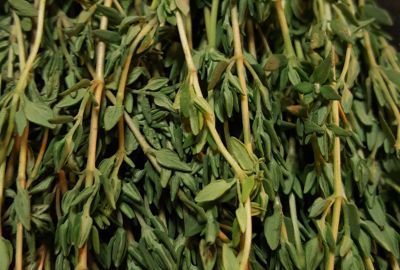 Detoxificare: Cum te ajuta ceaiul de cimbru in dietele de slabit