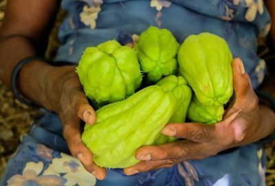 Chayote: O leguma exotica cu multiple beneficii pentru inima si digestie