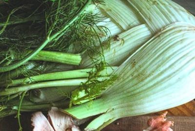 Fenicul: beneficii, proprietati, contraindicatii