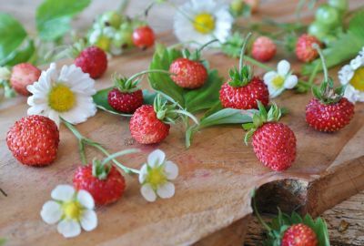 Nutritie: Care sunt beneficiile consumului de fragi