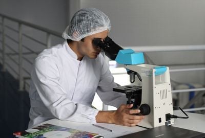 Sistemul digestiv: Ce este ileonul si cum poate fi protejat