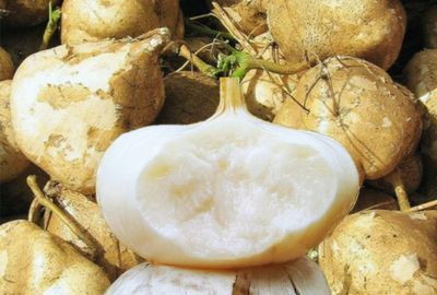 Nutritie: Beneficiile pentru consum ale napului mexican