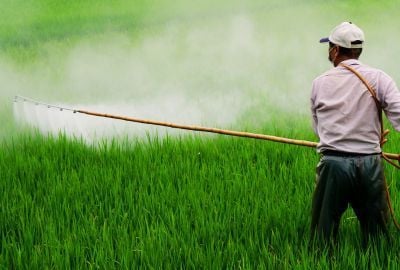 Intoxicatia cu pesticide: Cat de periculoasa este pentru organism, metode de tratament