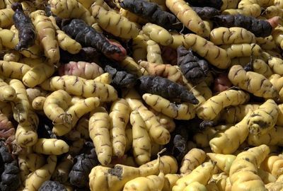 Nutritie: Beneficiile pentru organism ale consumului de cartofi OCA