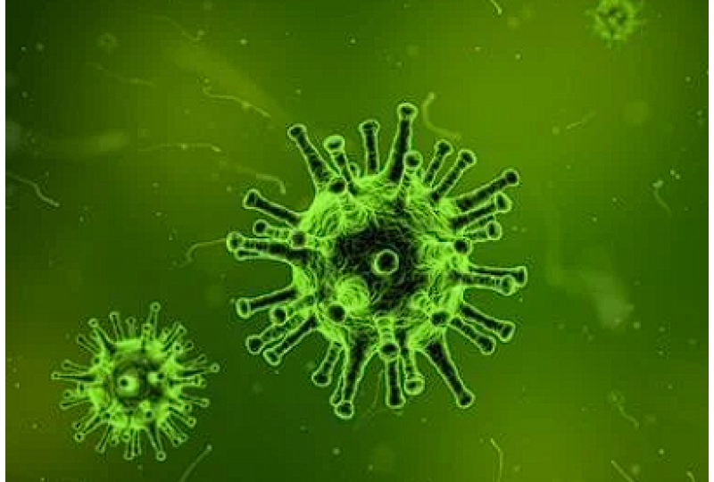 Vaccin impotriva Hepatitei A: Cand se poate administra, contraindicatii