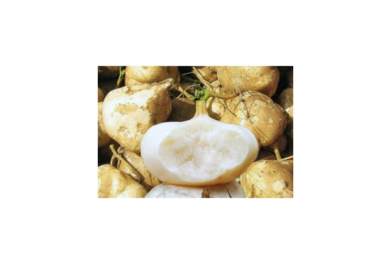 Nutritie: Beneficiile pentru consum ale napului mexican