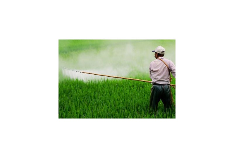Intoxicatia cu pesticide: Cat de periculoasa este pentru organism, metode de tratament