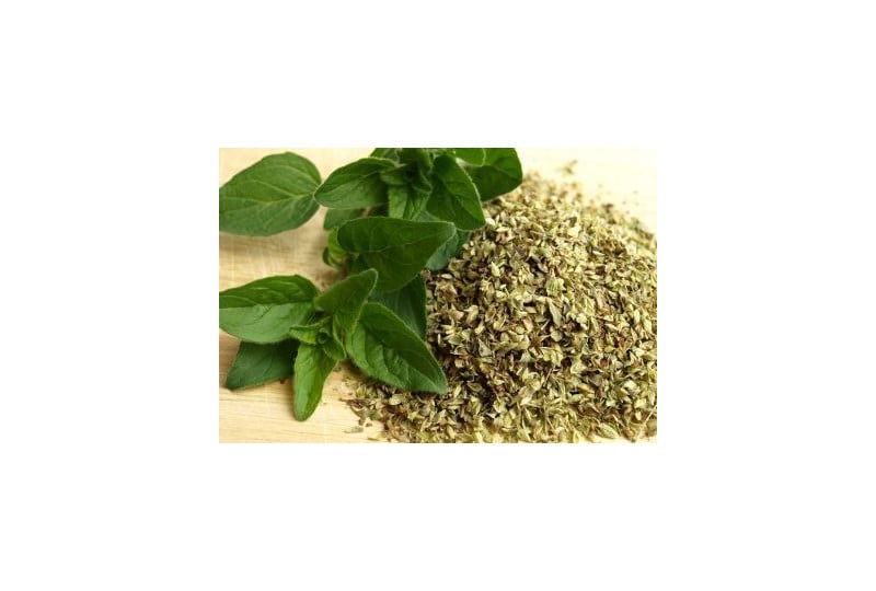 Oregano: proprietati ale plantei, beneficii organism, contraindicatii de folosire