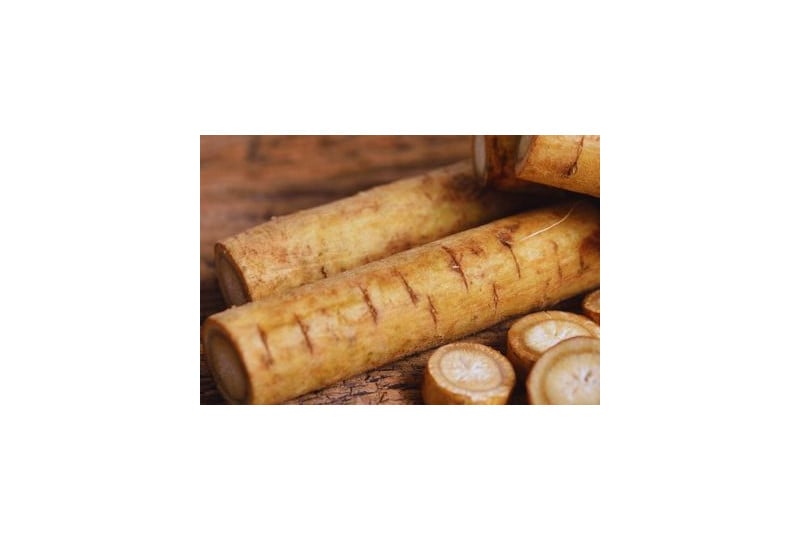Nutritie: Gobo sau radacina de brusture japonez, cum se poate consuma