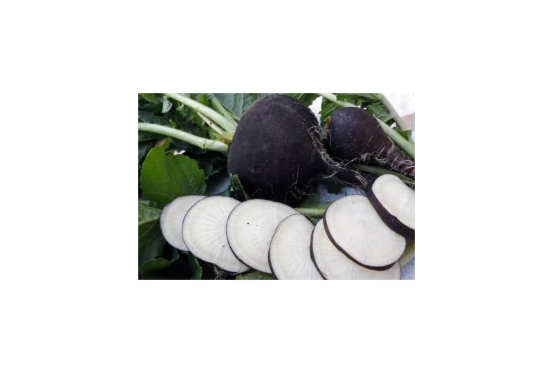 Nutritie: Beneficiile pentru sanatate ale consumului de ridiche neagra