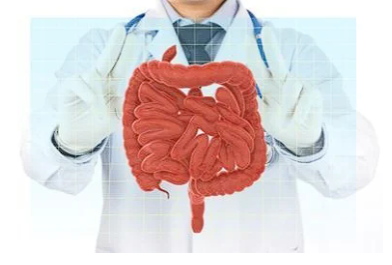 Bruceloza: Cum apare aceasta infectie bacteriana, complicatii ale bolii, preventie si tratament