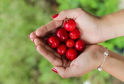 Acerola: Fructul exotic care ajuta la intarirea sistemului imunitar