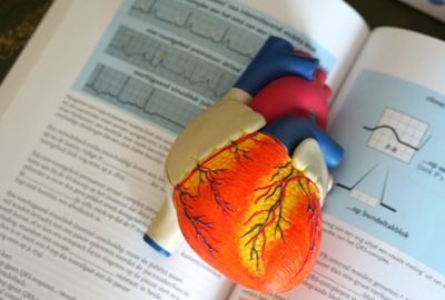Sanatatea inimii: Totul despre capilare, cele mai mici vase de sange din organism