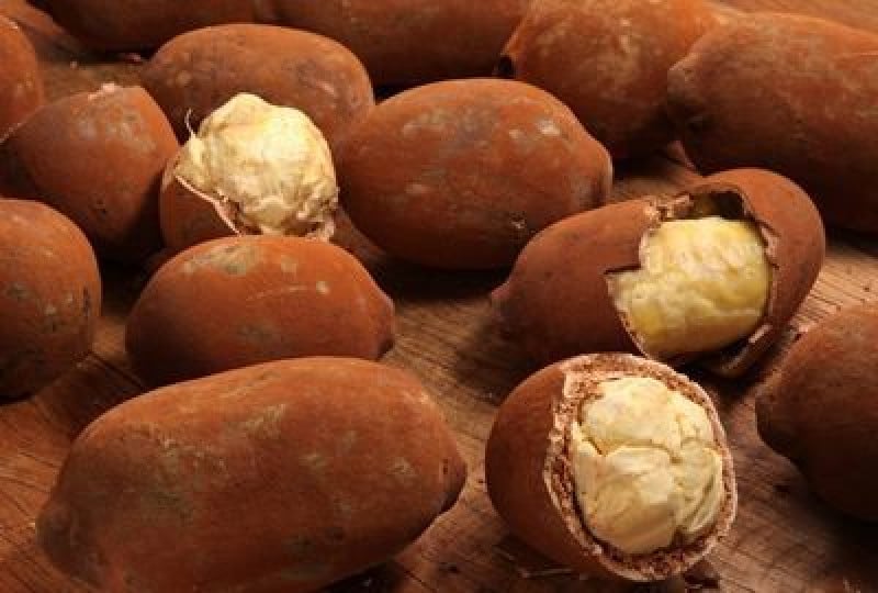 Cupuacu: Fructul minune al Braziliei, beneficii pentru sanatate