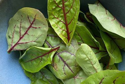 Macrisul: Sursa bogata de vitamine si minerale pentru o dieta sanatoasa