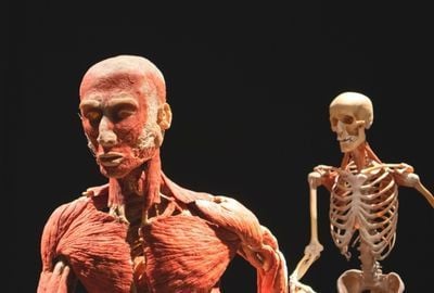 Glandele salivare: rol, afectiuni, posibile patologii