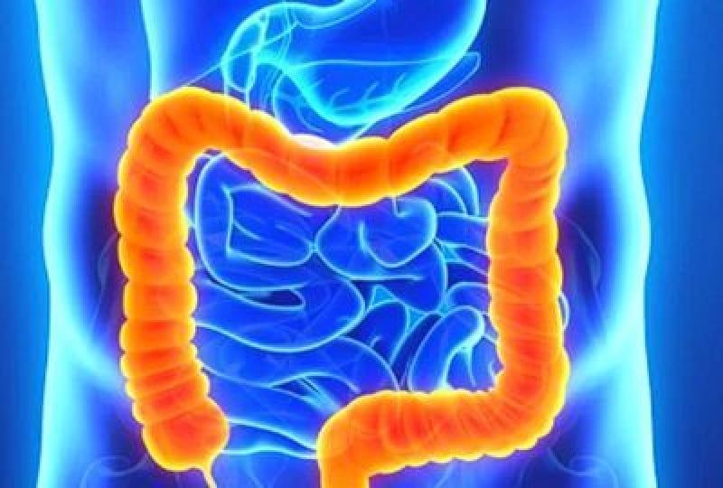 Intestinul gros: functiile organului si afectiuni asociate cu acesta