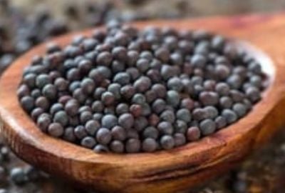 Mustarul negru: proprietati, beneficii, utilizare