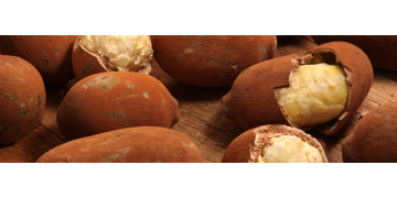 Cupuacu: Fructul minune al Braziliei, beneficii pentru sanatate