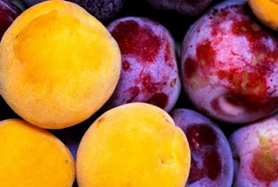 Nutritie: Beneficiile consumului de caise pentru organism