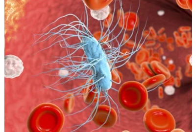 Citomegalovirus: Cum apare, simptome, diagnostic si tratament