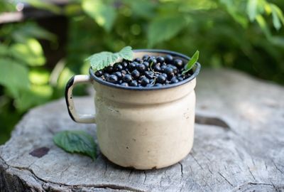 Nutritie: De ce are nevoie organismul sa consumam coacaze negre