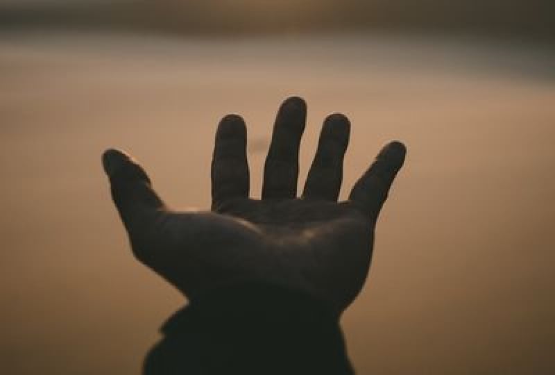 Anatomie: Totul despre falange, oasele degetelor